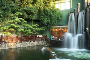 best chinese vegetarian restaurants hong kong