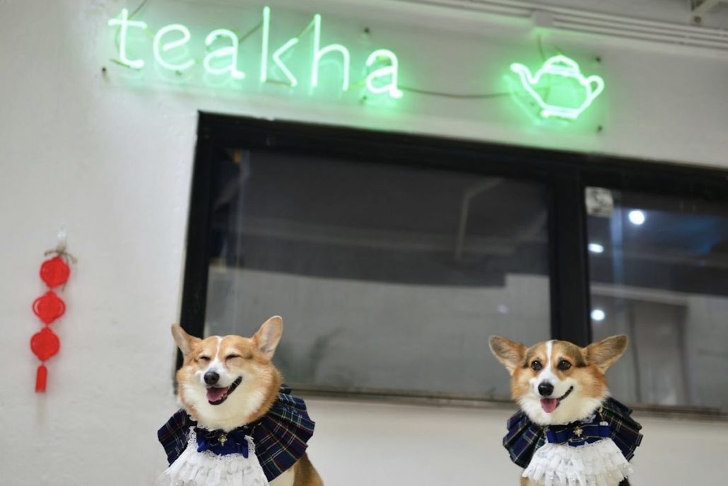 Dog Friendly Restaurants teakha