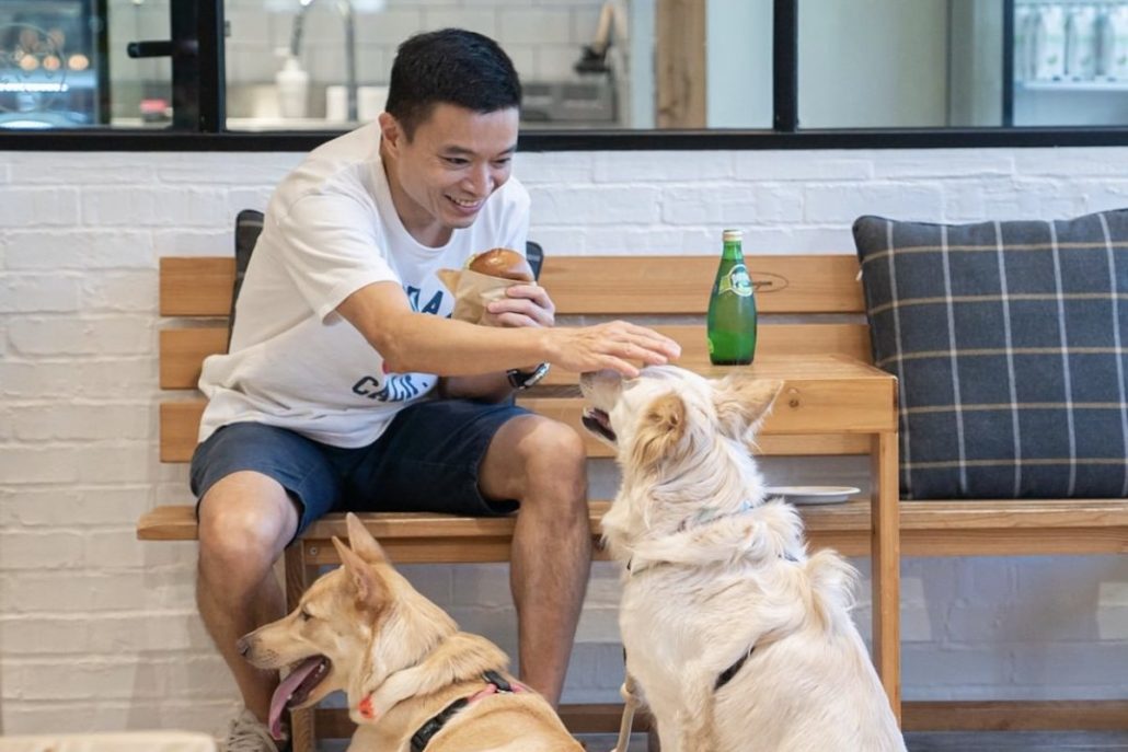 Dog Friendly Restaurants Whiskers N Paws