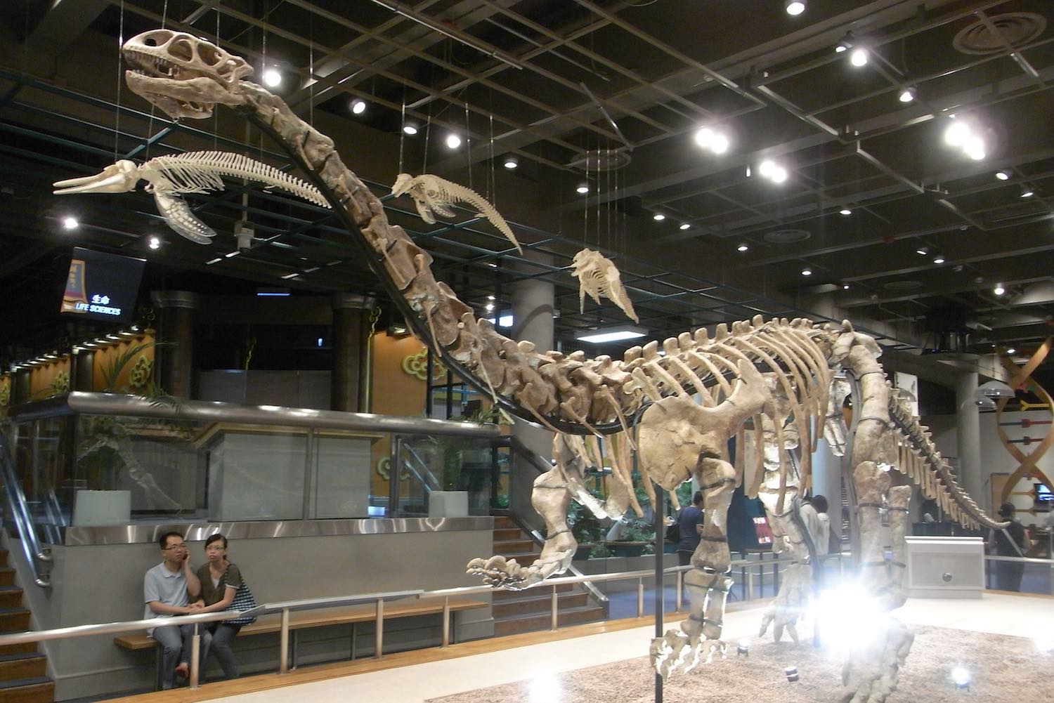 Hong Kong Science Museum, Tsim Sha Tsui, Hong Kong